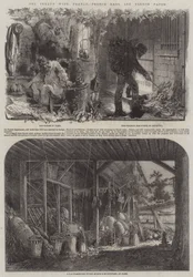 The Treaty with France, French Rags and French Paper